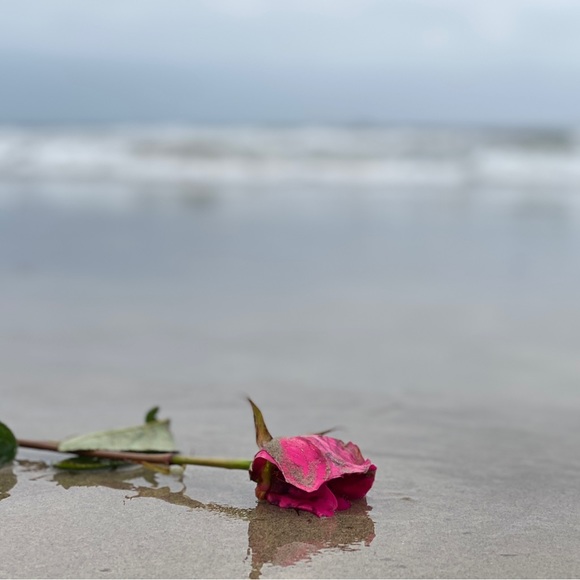 Meet your Posher, AMI - Picture 9 of 15